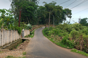 Winding Rural Road Surrounded by Lush Greenery and Scenic Natural Landscaping