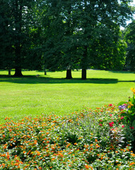 Beautiful garden with a flowerbed.