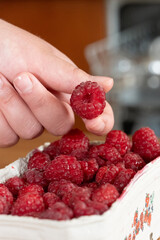 raspberries in hand