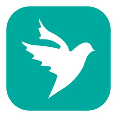 Spring Birds Icon
