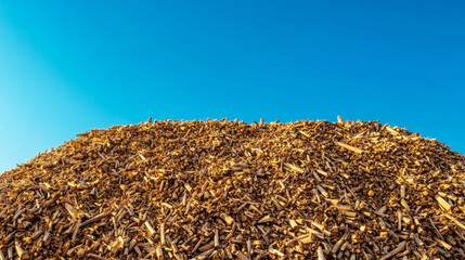 Wood chip pile outdoor location nature scene clear sky ground view sustainable resource management