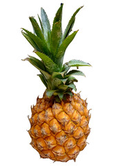 a pineapple isolated on a transparent background