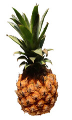 a pineapple isolated on a transparent background