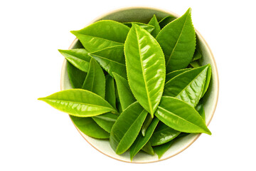 Fototapeta premium Bowl filled with fresh vibrant green tea leaves isolated with transparent background