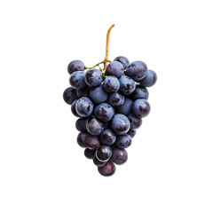 Fototapeta premium red grapes isolated on white