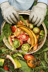 Compost heap pile with bio waste. Man with vegetables and fruits food scraps from bucket in compost...