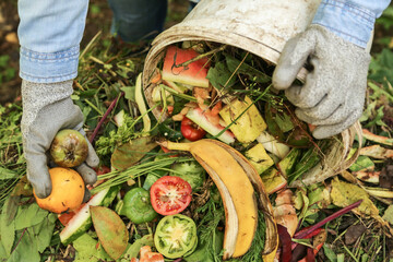 Compost heap pile with bio waste. Farmer with vegetables and fruits food scraps from bucket in...