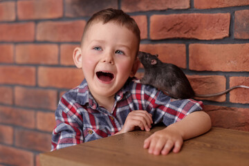 Little boy with his pet rat at wooden table indoors