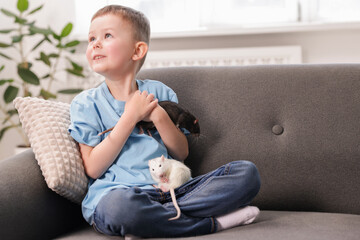 Little boy with his pet rats on sofa at home. Space for text
