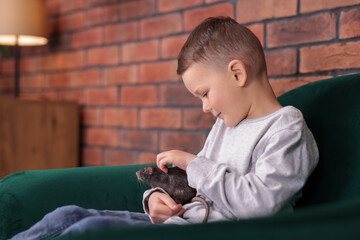 Little boy with his pet rat on sofa at home. Space for text