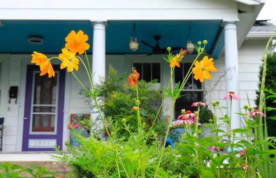 Wildflower Garden and Porch