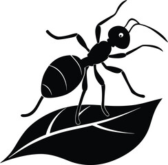 ant on a white background