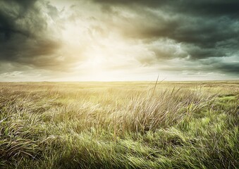 Dramatic sky over windswept field