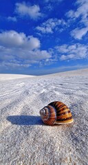 A striped snail shell rests on a white sandy beach under a bright blue sky