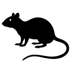 mouse on a white background
