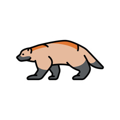 Wolverine color line icon for digital and print projects. Arctic animals.