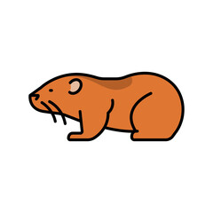lemming color line icon for digital and print projects. Arctic animals.