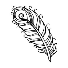 Obraz premium Elegant and decorative black and white illustration of a peacock feather on white background