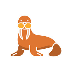 walrus color flat icon for digital and print projects. Arctic animals.