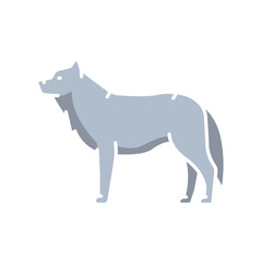 Fototapeta premium arctic wolf color flat icon for digital and print projects. Arctic animals.