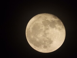 full moon in the night