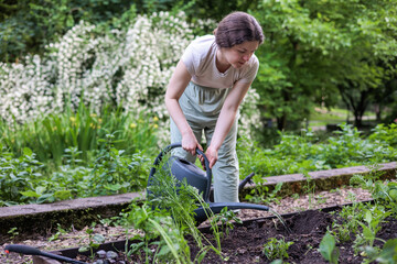 Young woman gardening and watering seedlings with can in backyard. Sustainable organic growing,...