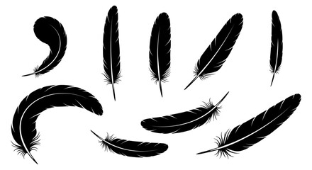Vector Feather Icons collection. Black feather silhouette set.