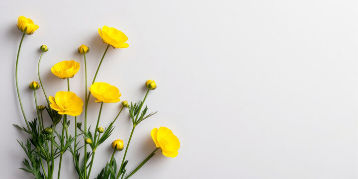 A bouquet of bright yellow buttercup flowers arranged on a plain white background. The flowers have delicate petals and green stems.