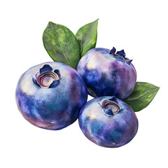 Obraz premium Close-up of three blueberries with leaves.