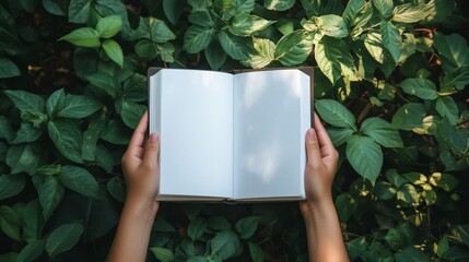 Hands holding an open blank book among green foliage, symbolizing learning or nature.
