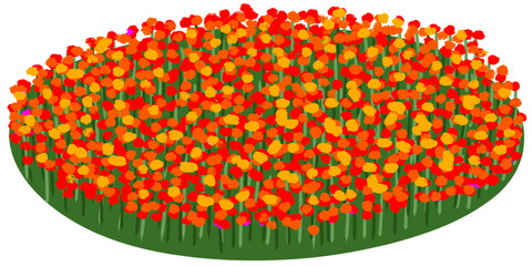 red and yellow flowers 