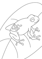 Frog blue jeans illustration 