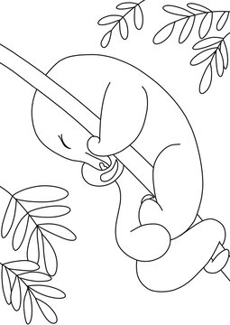 Silky anteater illustration
