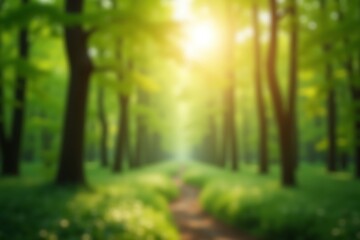Obraz premium Sunlit Green Forest Path Bokeh Background Lush Nature Scenery Summer Sunlight Through Trees