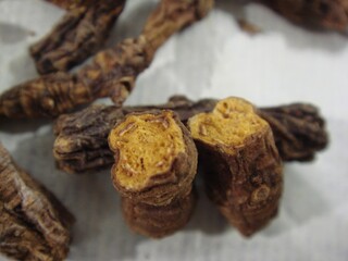 Close-up image of dried Coptis japonica roots used in Korean and East Asian herbal medicine. The wrinkled, textured surface is a key characteristic of this bitter medicinal root.

