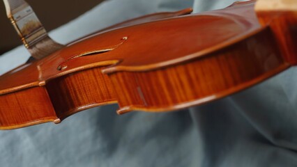 Skilled craftsman applying protective varnish to violin body, highlighting intricate woodworking...