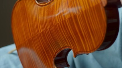 Skilled craftsman applying protective varnish to violin body, highlighting intricate woodworking...