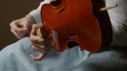 Skilled luthier crafting violin, carefully selecting specialized tools and meticulously joining delicate wooden components in traditional workshop setting