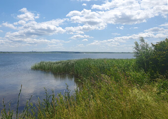 Clear blue lake with reeds and sandy shore against the backdrop of green forest under a clear summer sky.
