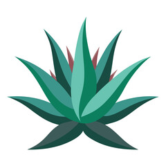 aloe plant isolated, aloe flower isolated