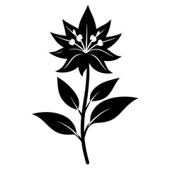 black and white flower