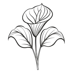 black and white flower