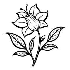 black and white flower