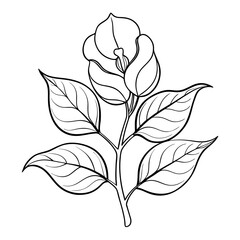 Obraz premium vector black and white flower