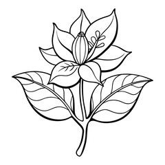 black and white flower