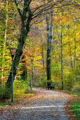 Fototapeta premium Footpath on Herreninsel Island - Germany