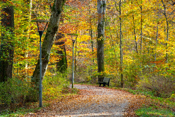 Obraz premium Footpath on Herreninsel Island - Germany