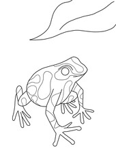 vector illustration of a frog