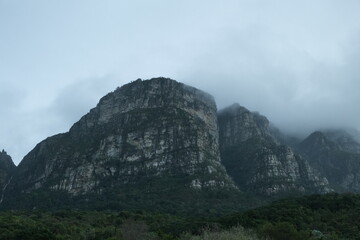 Misty Mountain Peaks in Kirstenbosch