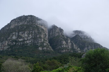 Misty Mountain View at Kirstenbosch
